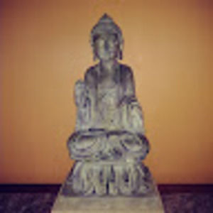 Meet your Posher, Wendy